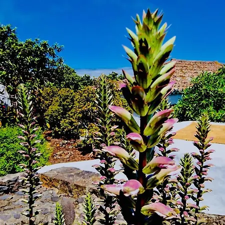 Valentina Casa rural Tigalate